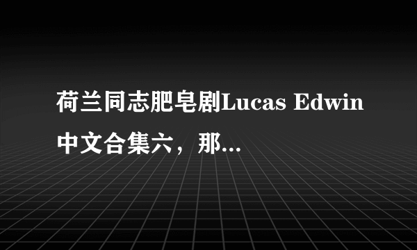 荷兰同志肥皂剧Lucas Edwin中文合集六，那个大侠有就发给我吧，不胜感激~