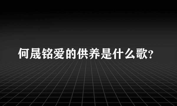 何晟铭爱的供养是什么歌？