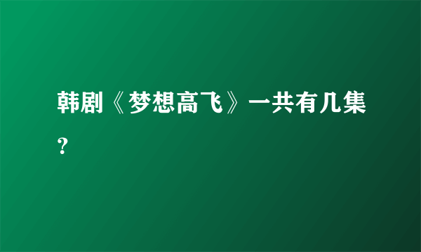 韩剧《梦想高飞》一共有几集？