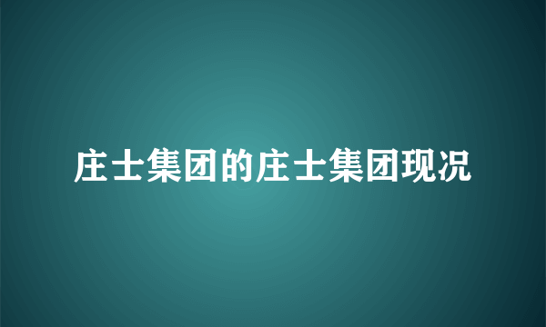 庄士集团的庄士集团现况