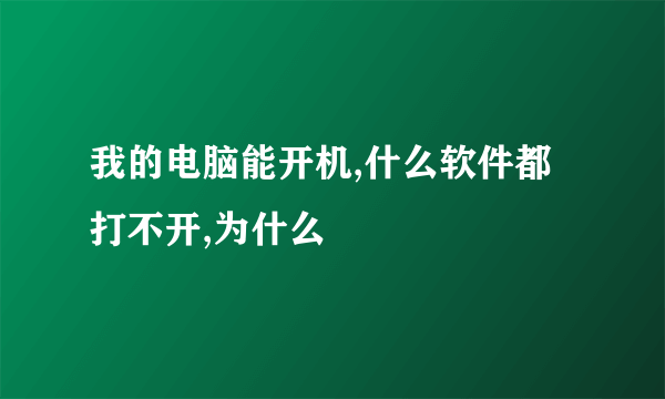 我的电脑能开机,什么软件都打不开,为什么