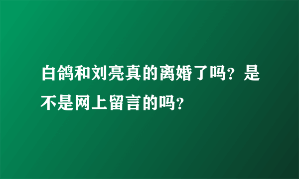 白鸽和刘亮真的离婚了吗？是不是网上留言的吗？