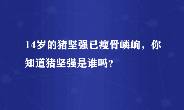 14岁的猪坚强已瘦骨嶙峋，你知道猪坚强是谁吗？