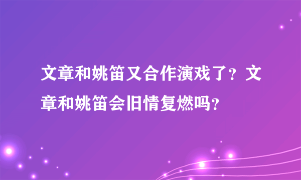 文章和姚笛又合作演戏了？文章和姚笛会旧情复燃吗？