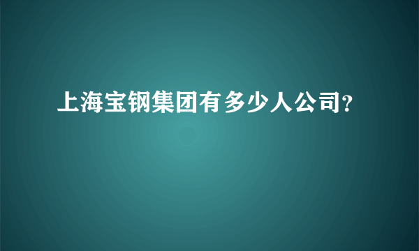 上海宝钢集团有多少人公司？