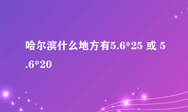 哈尔滨什么地方有5.6*25 或 5.6*20