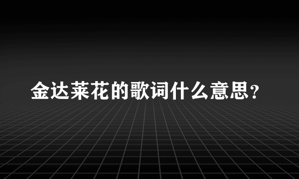 金达莱花的歌词什么意思？