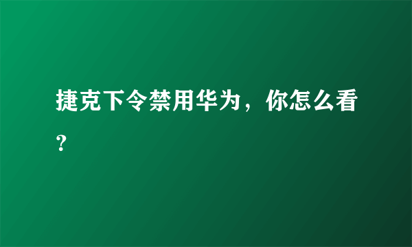 捷克下令禁用华为，你怎么看？