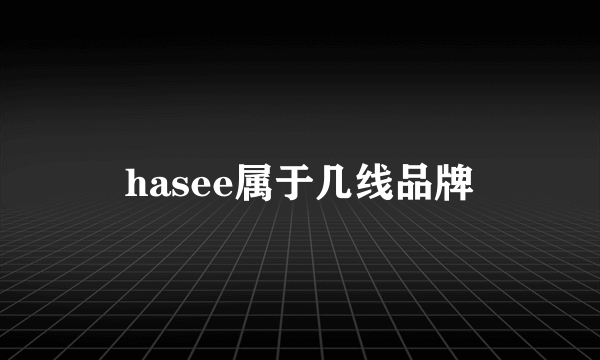 hasee属于几线品牌