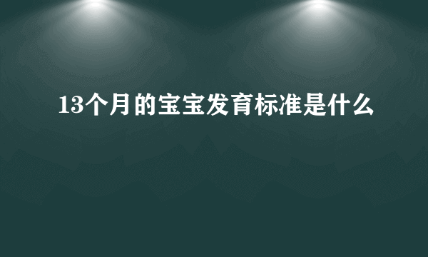 13个月的宝宝发育标准是什么