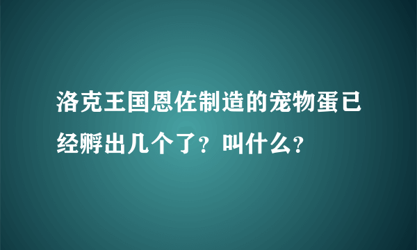 洛克王国恩佐制造的宠物蛋已经孵出几个了？叫什么？