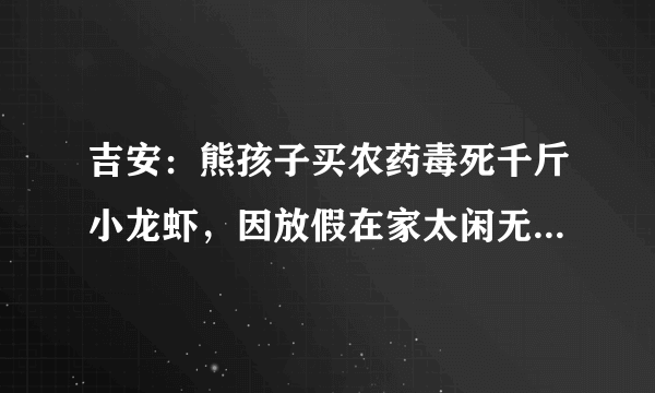 吉安：熊孩子买农药毒死千斤小龙虾，因放假在家太闲无事可做, 你怎么看？