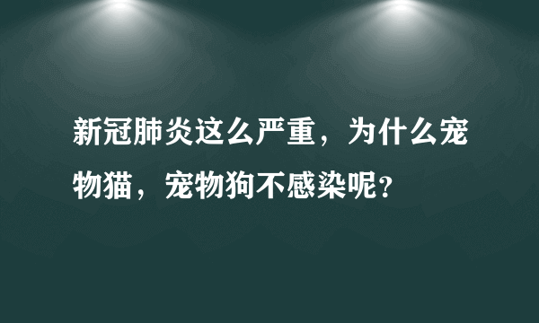 新冠肺炎这么严重，为什么宠物猫，宠物狗不感染呢？