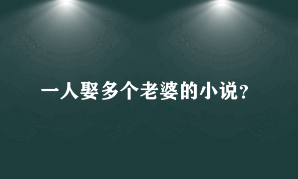 一人娶多个老婆的小说？