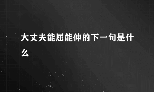 大丈夫能屈能伸的下一句是什么