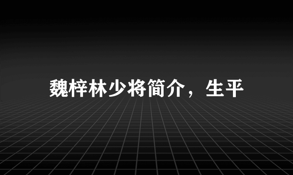 魏梓林少将简介，生平