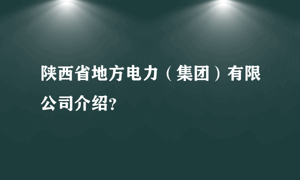 陕西省地方电力（集团）有限公司介绍？