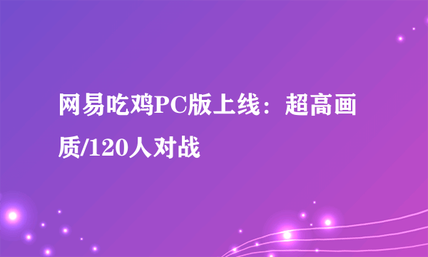 网易吃鸡PC版上线：超高画质/120人对战