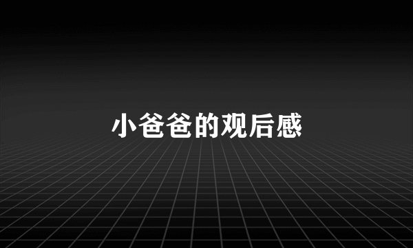 小爸爸的观后感