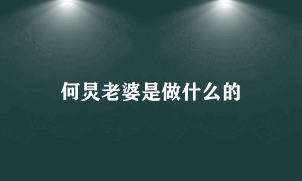 何炅老婆是做什么的