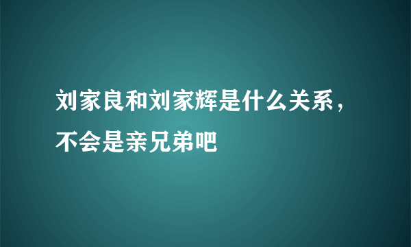 刘家良和刘家辉是什么关系，不会是亲兄弟吧