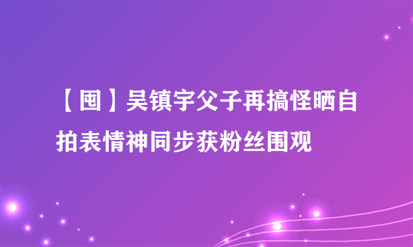 【囤】吴镇宇父子再搞怪晒自拍表情神同步获粉丝围观