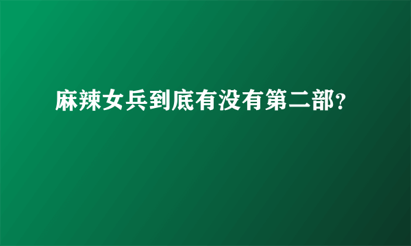 麻辣女兵到底有没有第二部？