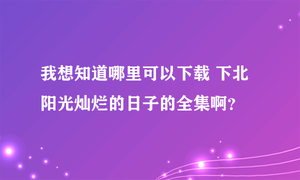 我想知道哪里可以下载 下北阳光灿烂的日子的全集啊？