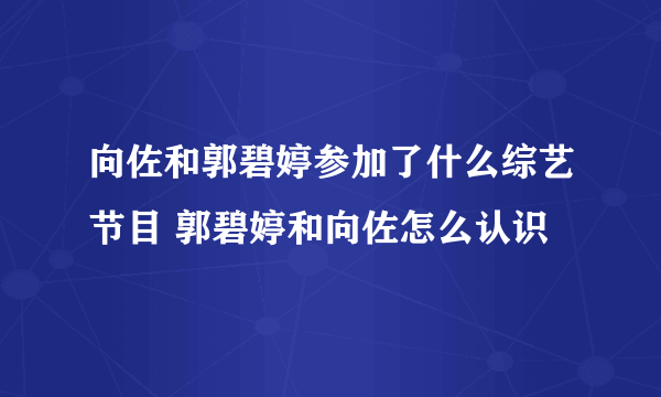 向佐和郭碧婷参加了什么综艺节目 郭碧婷和向佐怎么认识