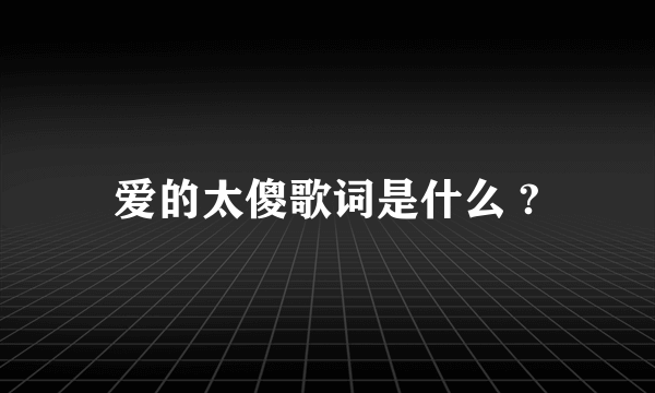 爱的太傻歌词是什么 ?