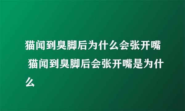 猫闻到臭脚后为什么会张开嘴 猫闻到臭脚后会张开嘴是为什么