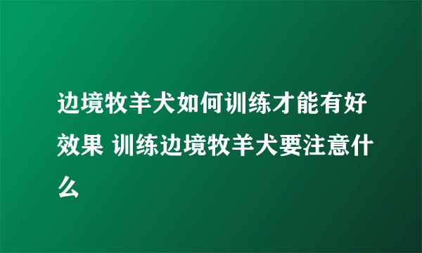 边境牧羊犬如何训练才能有好效果 训练边境牧羊犬要注意什么