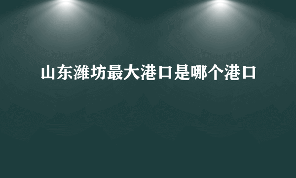 山东潍坊最大港口是哪个港口