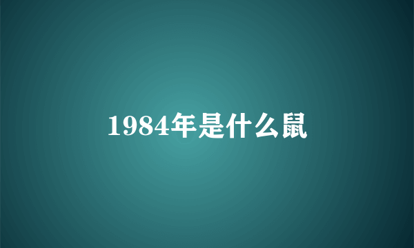 1984年是什么鼠