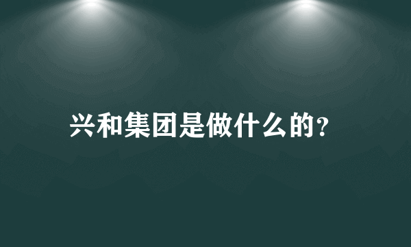 兴和集团是做什么的？