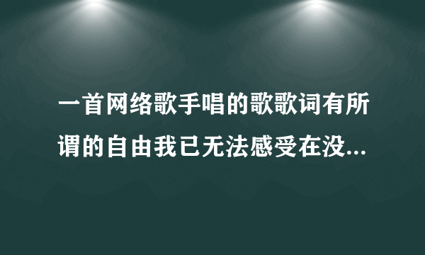 一首网络歌手唱的歌歌词有所谓的自由我已无法感受在没有理由弥补这爱情的缺口