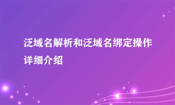 泛域名解析和泛域名绑定操作详细介绍