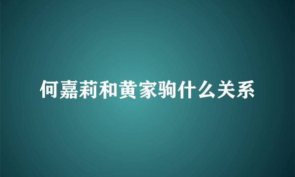 何嘉莉和黄家驹什么关系