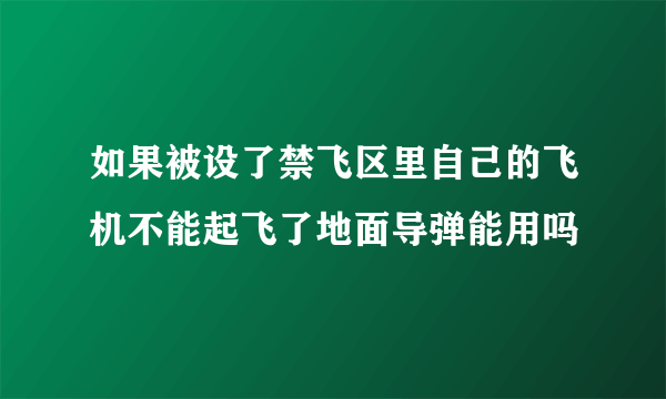 如果被设了禁飞区里自己的飞机不能起飞了地面导弹能用吗