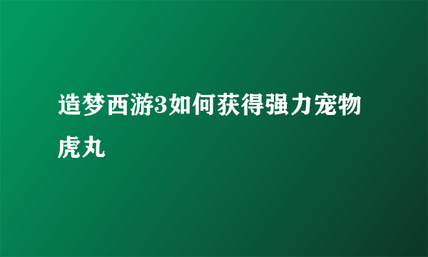 造梦西游3如何获得强力宠物虎丸