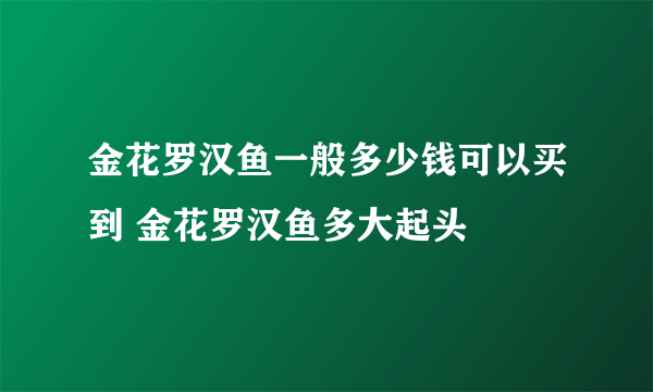 金花罗汉鱼一般多少钱可以买到 金花罗汉鱼多大起头