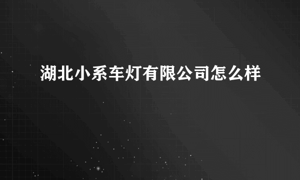 湖北小系车灯有限公司怎么样