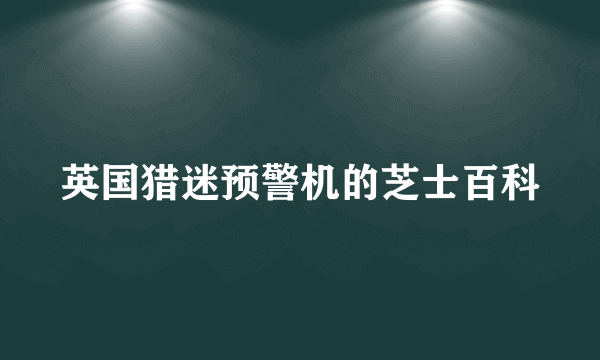 英国猎迷预警机的芝士百科