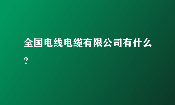 全国电线电缆有限公司有什么？