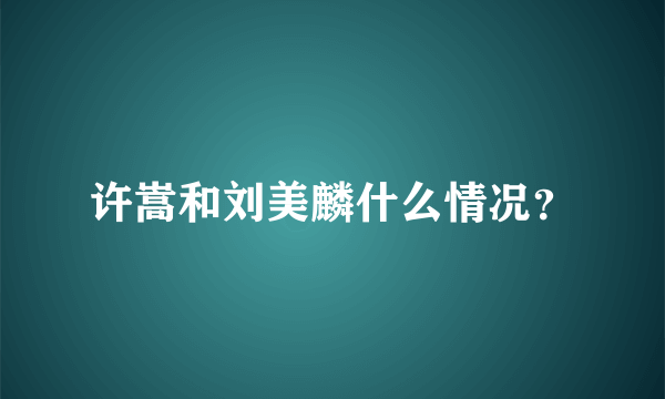 许嵩和刘美麟什么情况？