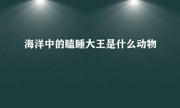 海洋中的瞌睡大王是什么动物