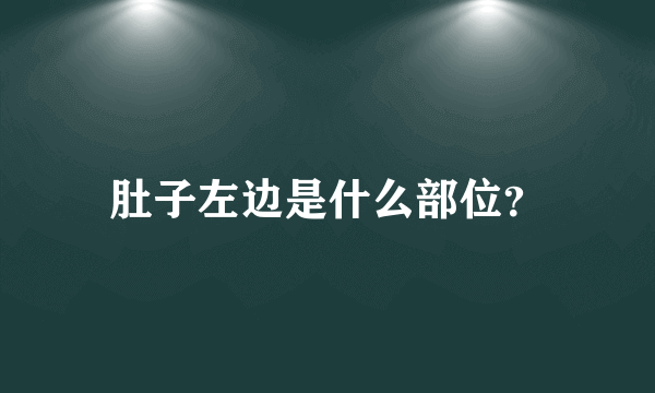 肚子左边是什么部位？