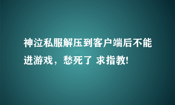 神泣私服解压到客户端后不能进游戏，愁死了 求指教!