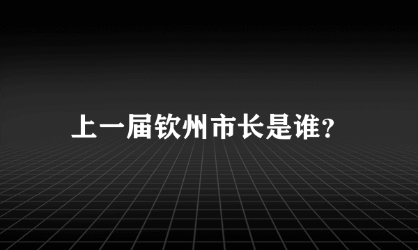 上一届钦州市长是谁？