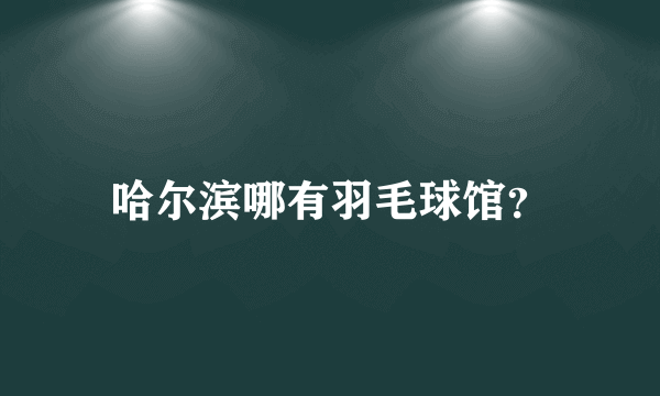 哈尔滨哪有羽毛球馆？